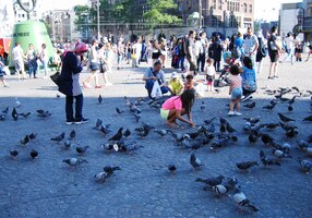 Jsou tu žebraví holubi (jako všude jinde)