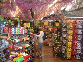 Bludiště mezi sazenicemi,