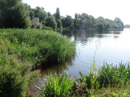 je to dobrá rozcvička před dalším dnem ve městě