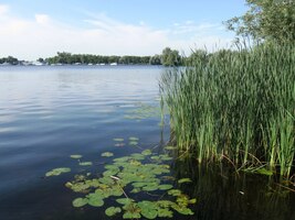 SO 8.8. Z hotelu Mercury hotel Amsterdam Airport