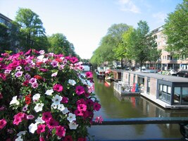 Ale cesta kolem grachtů