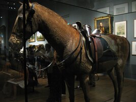 a tady si odstavil koně