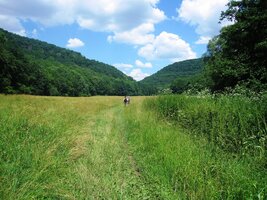 Pak jsme ale zabloudili v klikatém údolí potoka