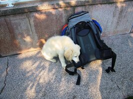 Ve Velkém Medéru bydlíme na privátě