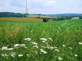Nejprve stoupáme na sedlo Brezinka