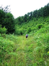 v nepřístupném hřebenu Krupinské vrchoviny
