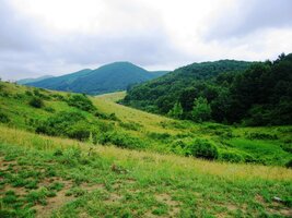 Od železnice stoupáme lesní cestou