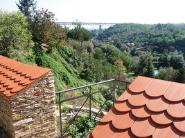 Dnešní vinobraní přece nemohu zmeškat!