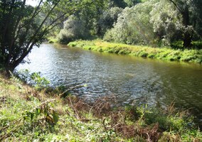 Její tekutá jmenovkyně