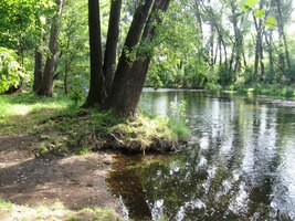 a stromy na jejím břehu skýtají stín