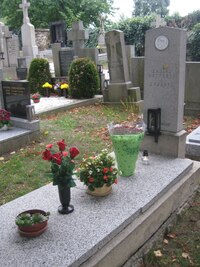 Začal jsem v Třešti u hrobu maminky