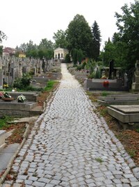 Druhý den jsem kousek za hřbitovem