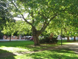 V parku na Zámeckém náměstí