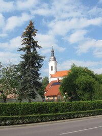 Na konci města jsem stopnul chlapíka,