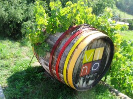 Ha, zdá se, že jsem u jádru pudla !