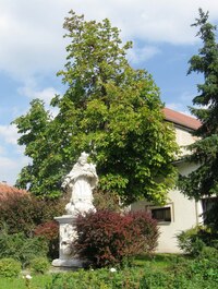 Jsem v Tasovicích, Mekkce vína