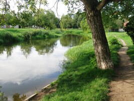 Vracím se na nádraží k poslední cestě