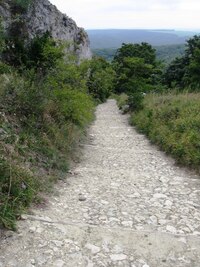 Pak jsem dojel autostopem pod Pálavské vrchy