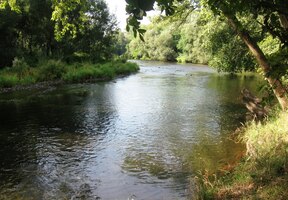 Ta zde plyne klidně a rozvážně