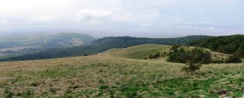 objevily se i svahy s horskými loukami