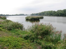 na břehu rozlehlé vodní plochy