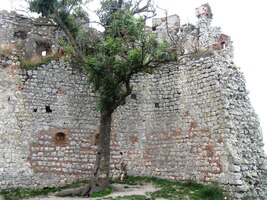 Zřícenina hradu je malebná