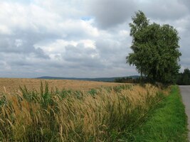 Uff, rychle do cíle, bude asi pršet!