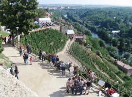 Na hradním vrchu je tlačenice.