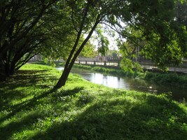 a pak pokračuji kolem Staré Dyje,