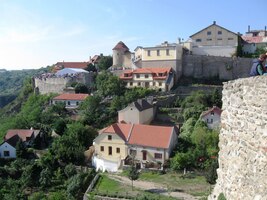 na svahy s vinicemi a domky