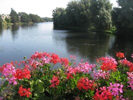 a scházím k řece Dyji