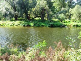 mne dnes nehodlá opustit