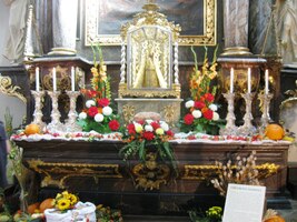 a je tu i spousta kvítí a ...