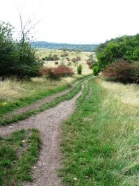 Cesta stoupala stále vzhůru