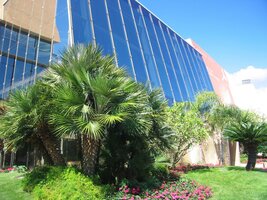 Je obklopen exotickou flórou