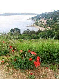 Pohled na moře z vrchu od citadely