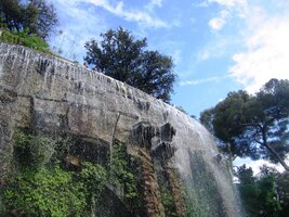 které vypadají jako pravé