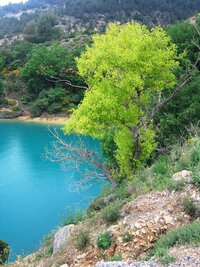 to vytváří scenérie neskutečných barev