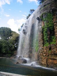 a jsou podobné těm z jihoamerických pralesů