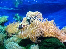 Je jedno z největších na světě