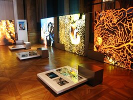 stejně jako sály s expozicemi