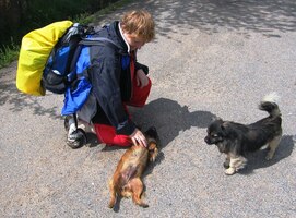 Copak asi dělá náš Rambík tam v dáli?