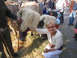 Asturské slavnosti v Oviedo